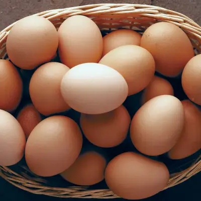 Organic Cage-Free Grade A Large Brown Eggs