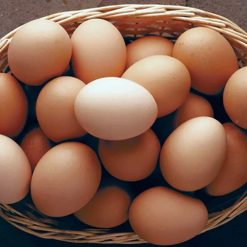 Organic Cage-Free Grade A Large Brown Eggs